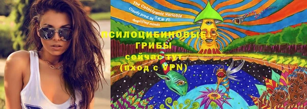 мдпв Новокубанск