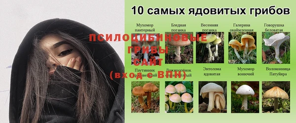 таблы Грязовец