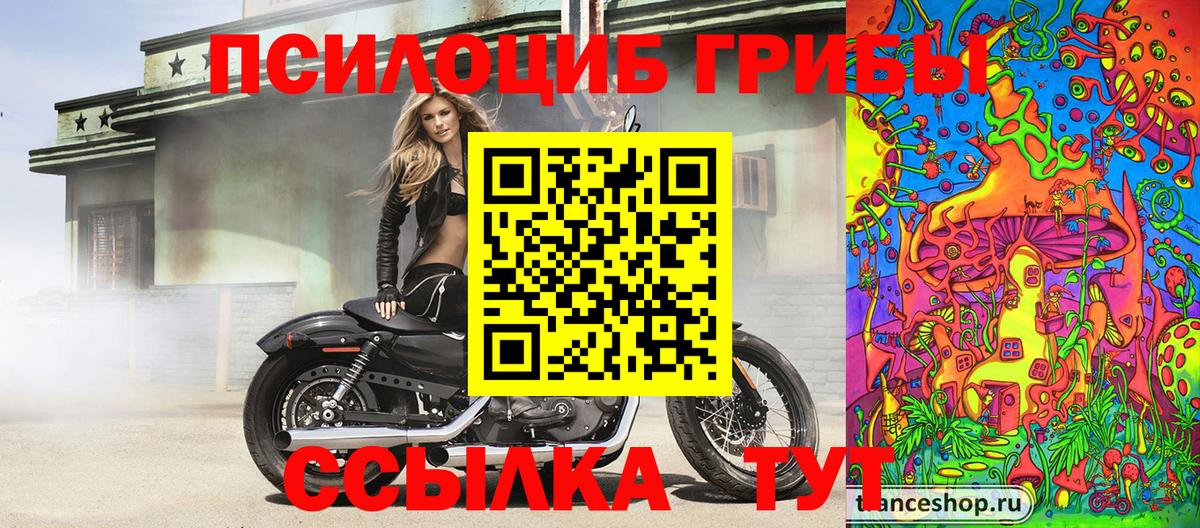Галлюциногенные грибы мухоморы Истра