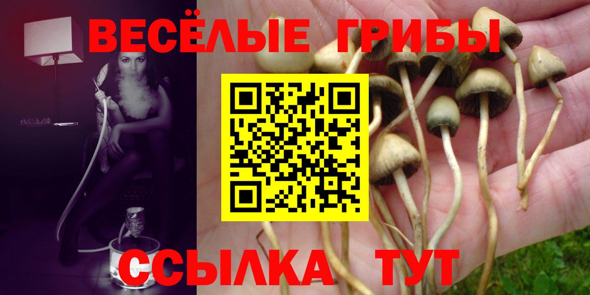 Псилоцибиновые грибы Psilocybe  Псилоцибиновые грибы Psilocybe  Вход с VPN  где купить   Истра 